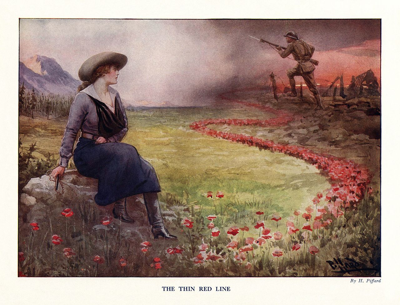 Poppy seed project