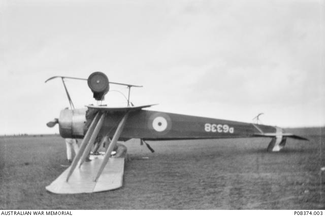 Avro 504 (D6338) with 6 (Training) Squadron, 1918., crashed, in a field. The photo affords a good view of the tail skid with which Dibbs skewered the ewe. Source: AWM P08374.003